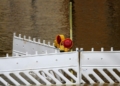Hochwasser-Absperrung (Archiv), über dts