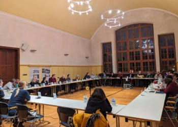 Blick in den Stadtrat vom 29.11.2023