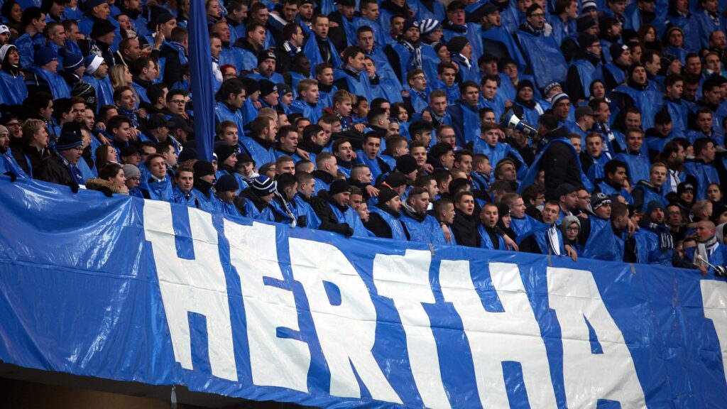 Fans von Hertha BSC (Archiv)