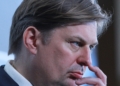 Maximilian Krah (Archiv)