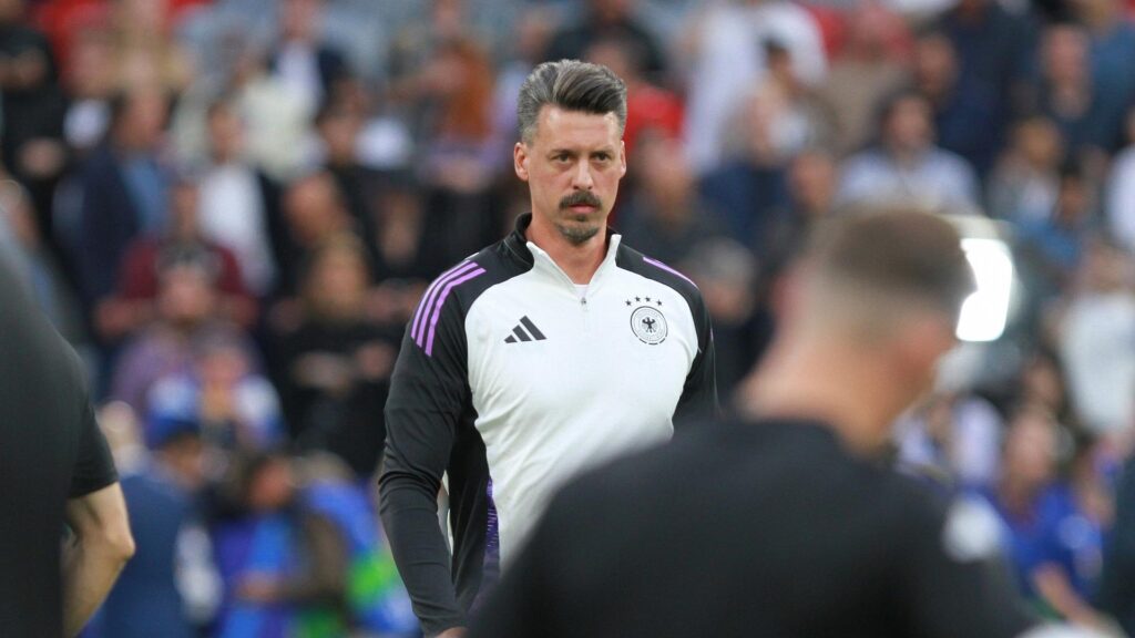 Sandro Wagner (Archiv)