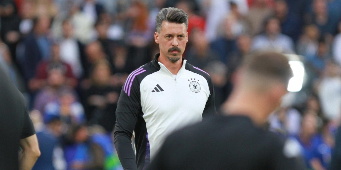 Sandro Wagner (Archiv)