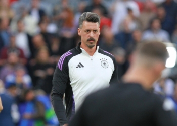 Sandro Wagner (Archiv)