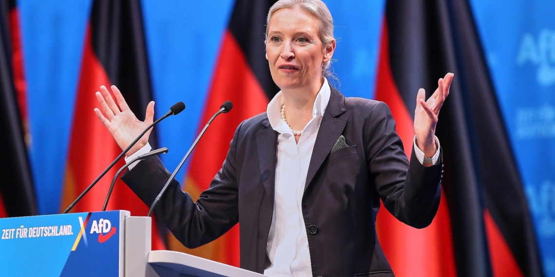 Alice Weidel (Archiv)