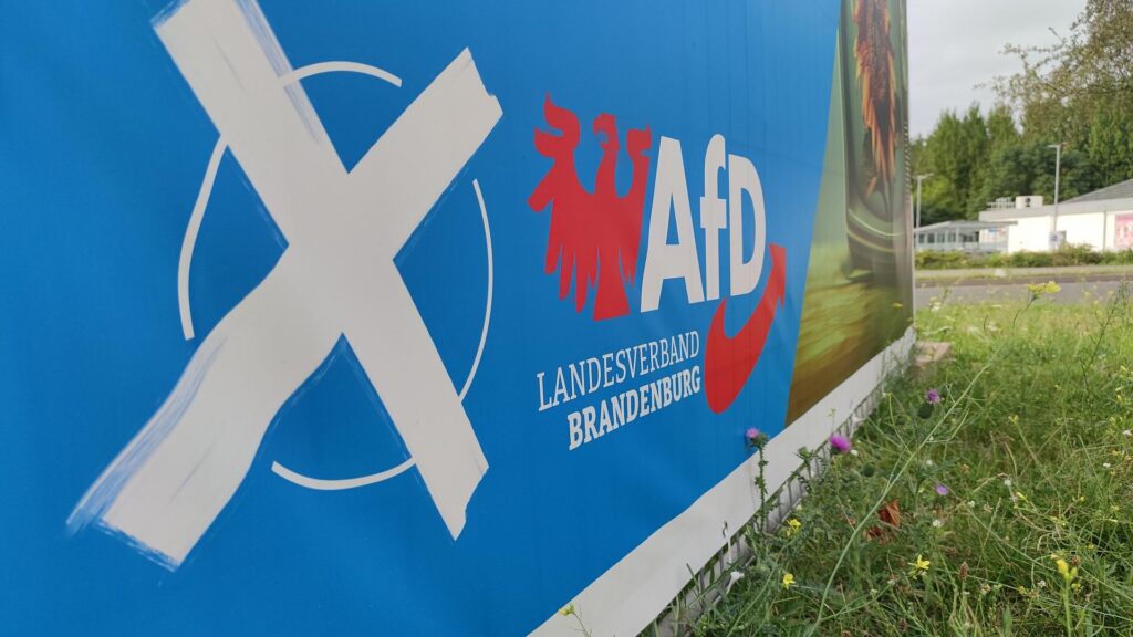 AfD-Wahlplakat zur Landtagswahl in Brandenburg (Archiv)