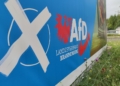 AfD-Wahlplakat zur Landtagswahl in Brandenburg (Archiv)