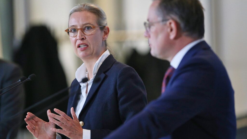 Alice Weidel und Tino Chrupalla (Archiv)