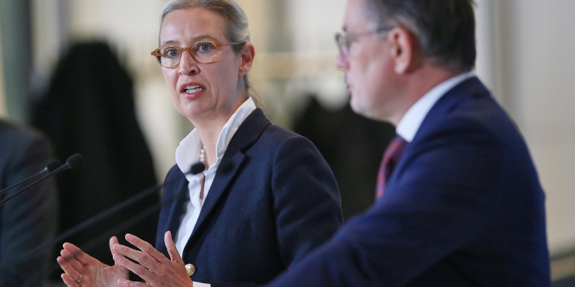 Alice Weidel und Tino Chrupalla (Archiv)