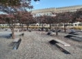 Pentagon (Archiv)