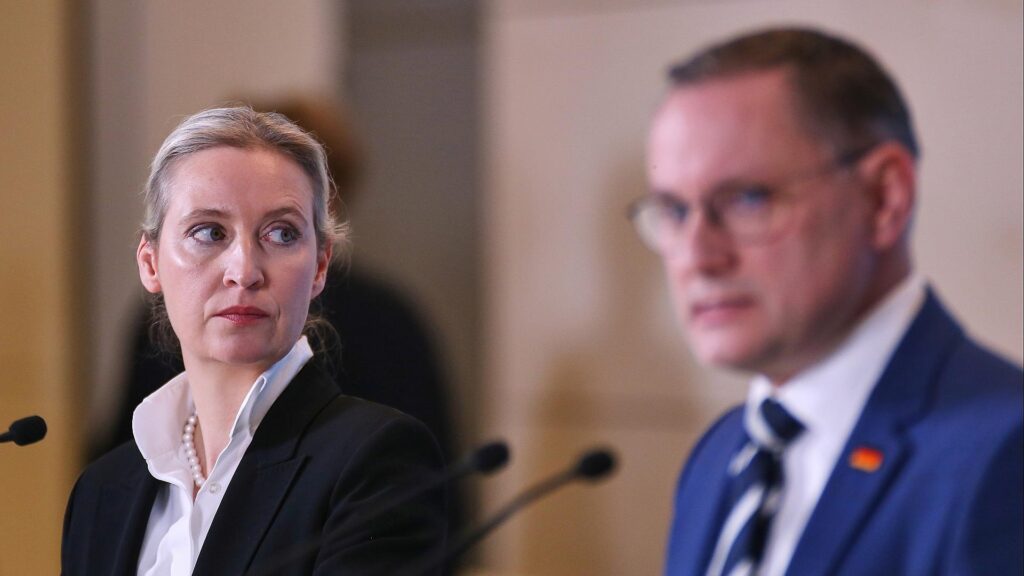 Alice Weidel und Tino Chrupalla (Archiv)