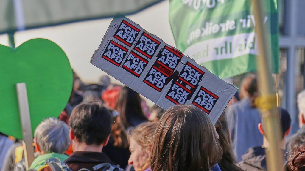 Protest gegen die AfD (Archiv)