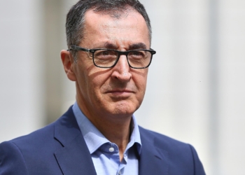 Cem Özdemir (Archiv)