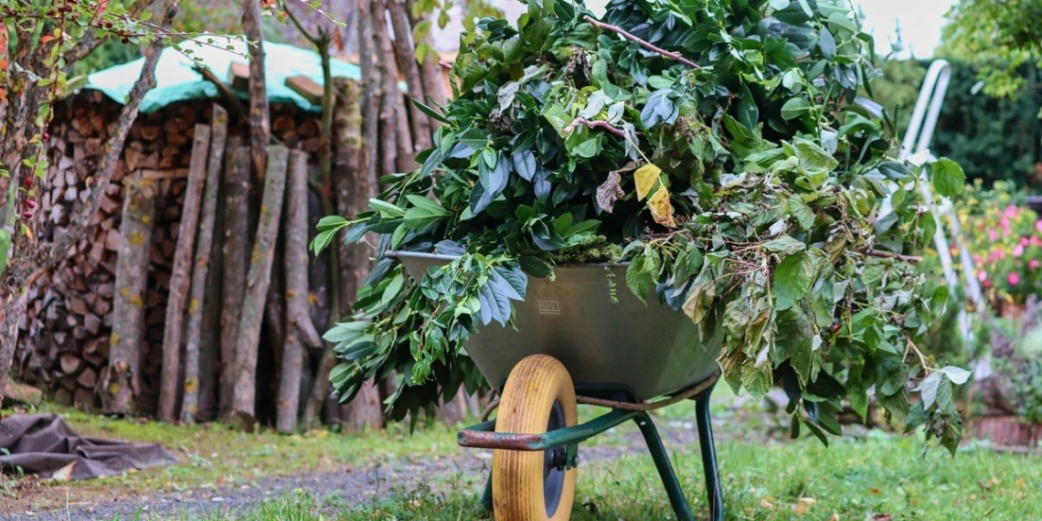 Grüngutsammelstelle am 26.05.2025 geöffnet 1 gruengutsammelstelle am 26 05 2025 geoeffnet 682ca6148444b