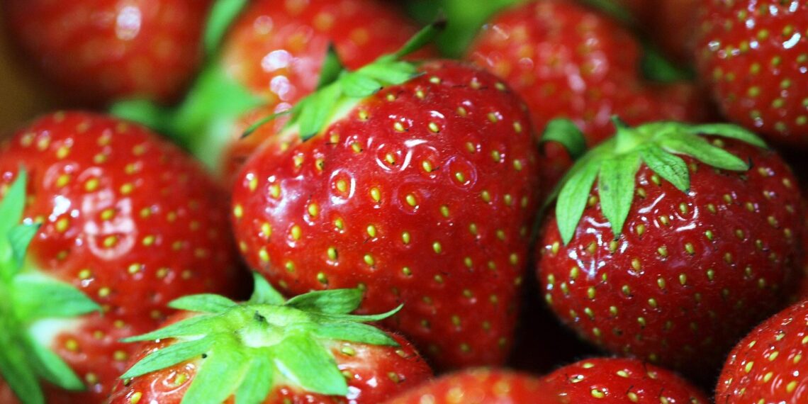Erdbeeren (Archiv)