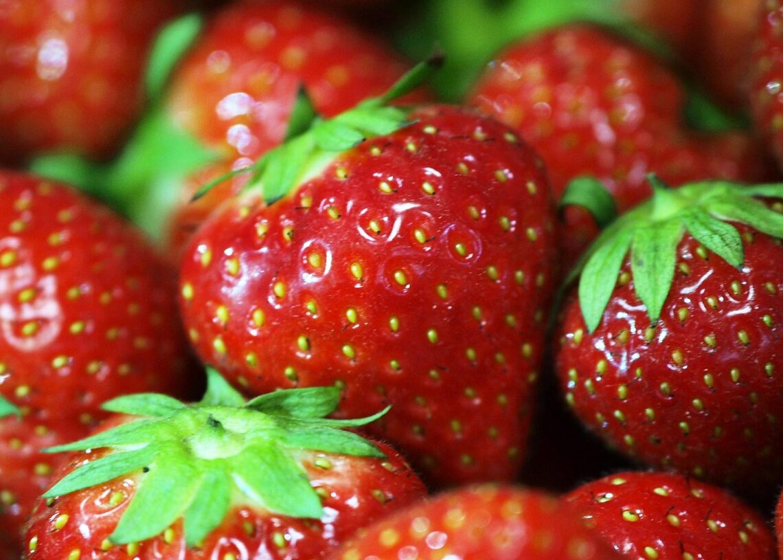 Erdbeeren (Archiv)