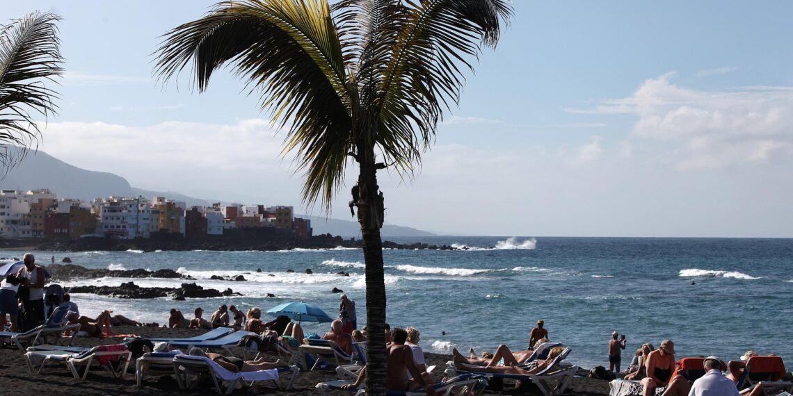 Palme an einem Strand (Archiv)