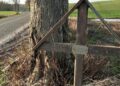 Unfallkreuz an Straßenrand (Archiv)