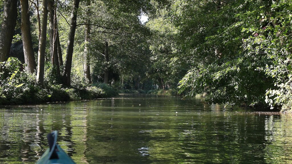 Spreewald (Archiv)