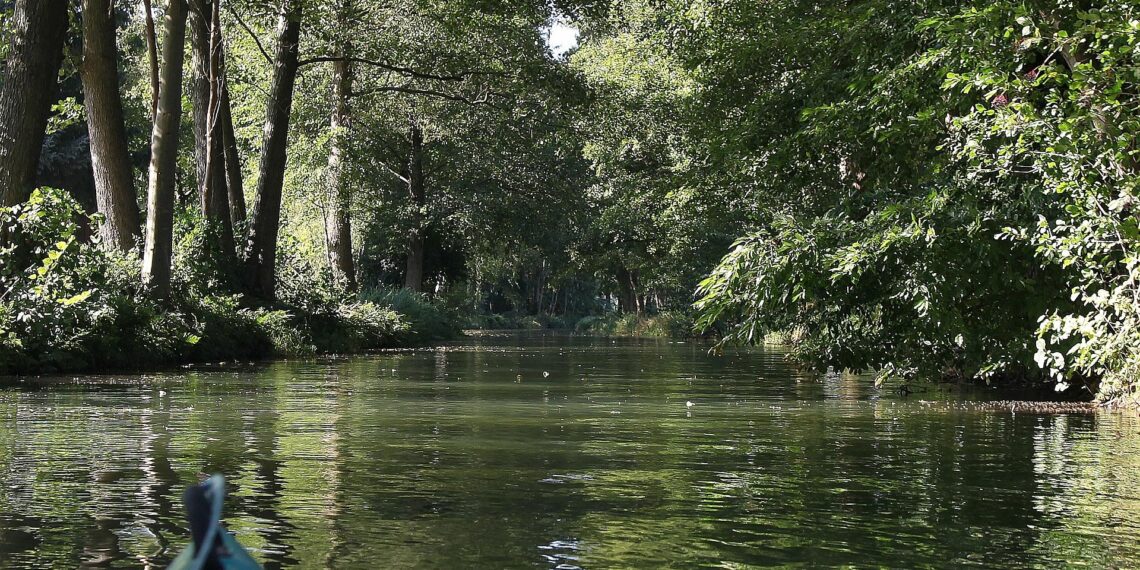 Spreewald (Archiv)