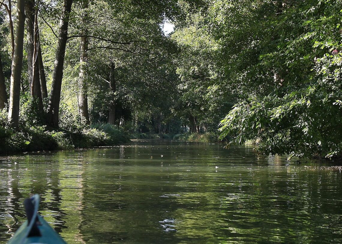 Spreewald (Archiv)