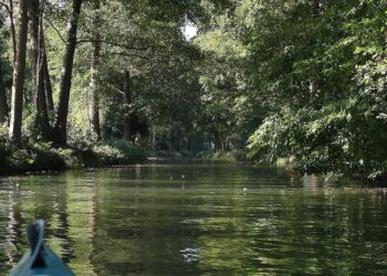 Spreewald (Archiv)
