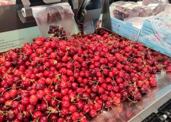 Kirschen im Supermarkt (Archiv)