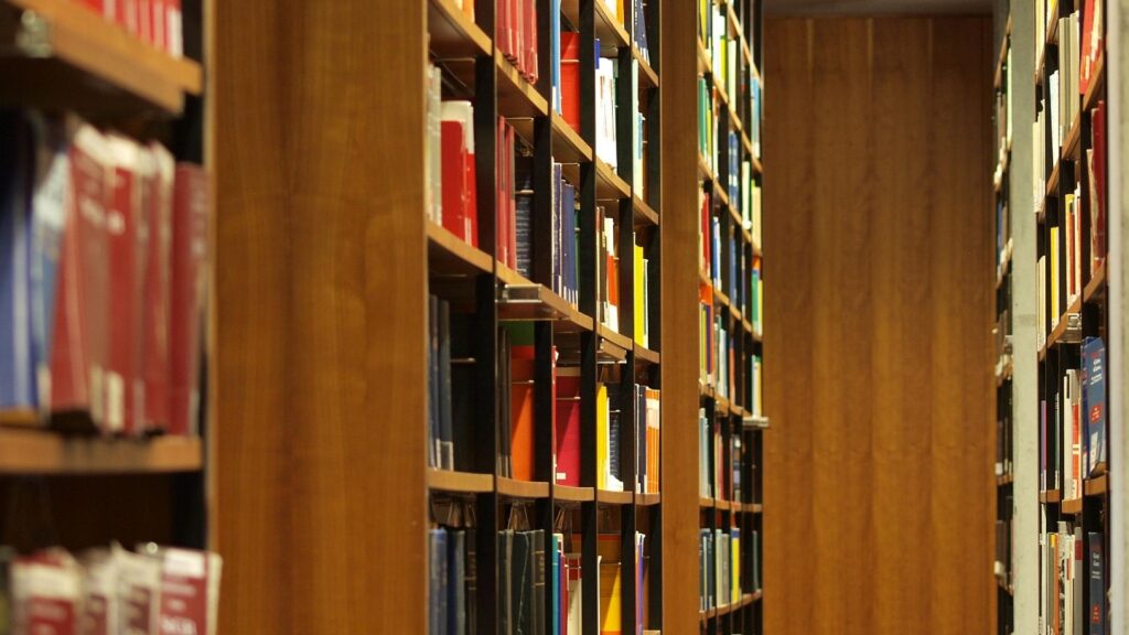 Bücher in einer Bibliothek (Archiv)