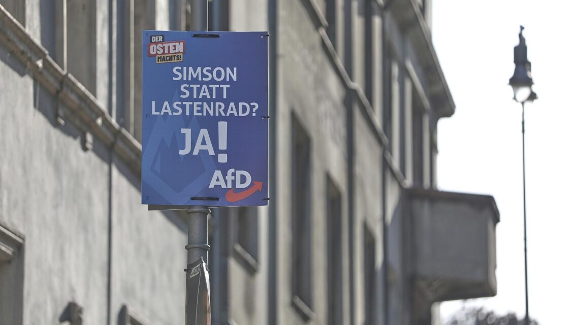 AfD-Wahlplakat zur Landtagswahl in Thüringen 2024 (Archiv)