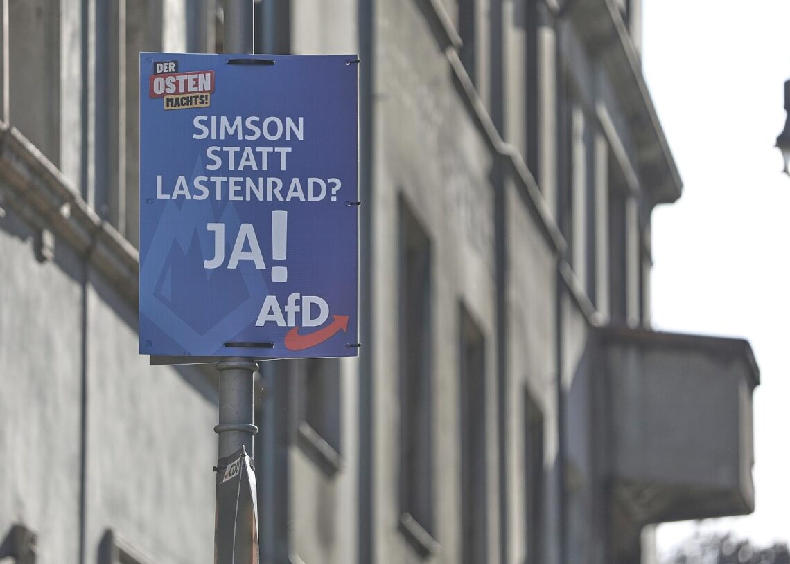 AfD-Wahlplakat zur Landtagswahl in Thüringen 2024 (Archiv)