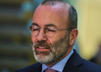 Manfred Weber (Archiv)