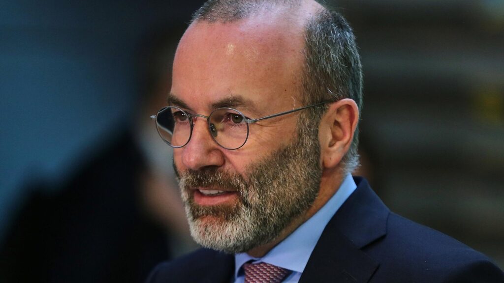 Manfred Weber (Archiv)