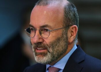 Manfred Weber (Archiv)