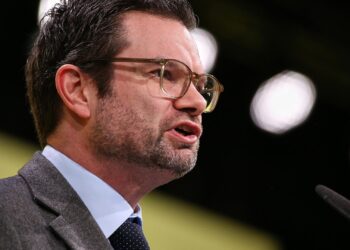 Marco Buschmann (Archiv)
