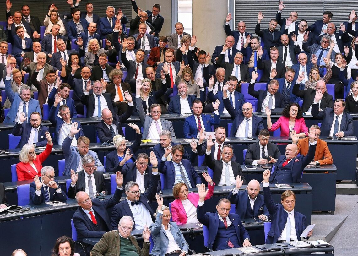 AfD-Bundestagsfraktion (Archiv)