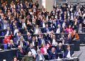 AfD-Bundestagsfraktion (Archiv)