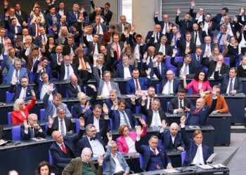 AfD-Bundestagsfraktion (Archiv)