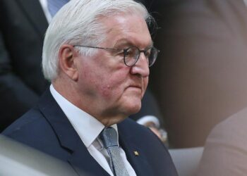Frank-Walter Steinmeier (Archiv)