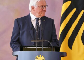 Frank-Walter Steinmeier (Archiv)