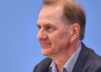 Dirk Messner (Archiv)