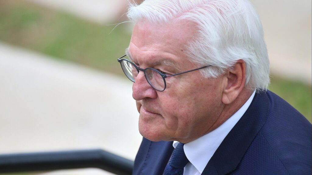 Frank-Walter Steinmeier (Archiv)
