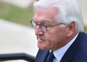 Frank-Walter Steinmeier (Archiv)