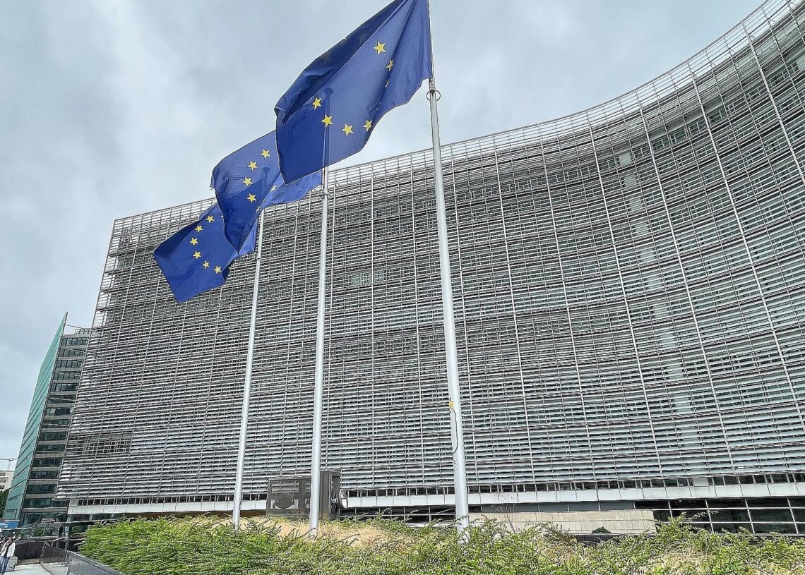 EU-Fahnen (Archiv)