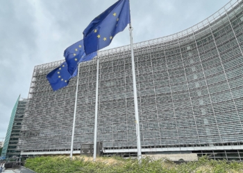 EU-Fahnen (Archiv)