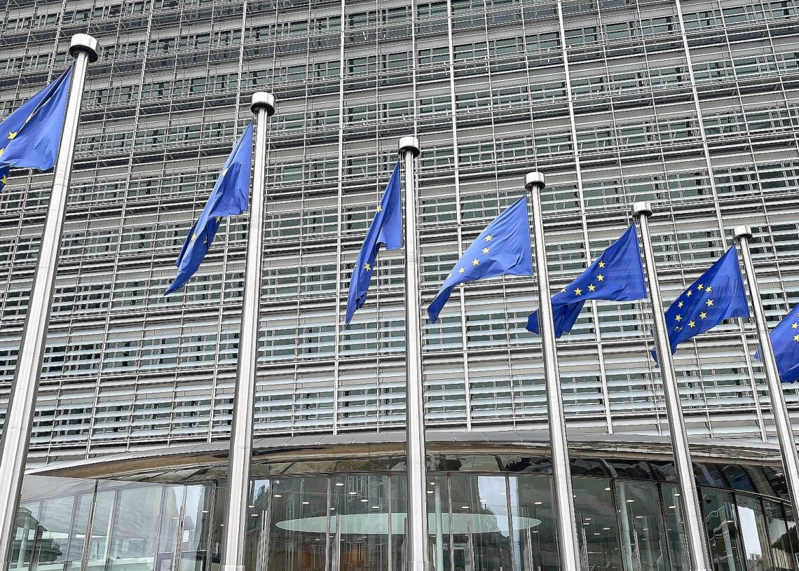 EU-Fahnen (Archiv)