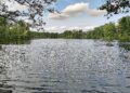 Badesee (Archiv)