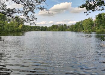 Badesee (Archiv)