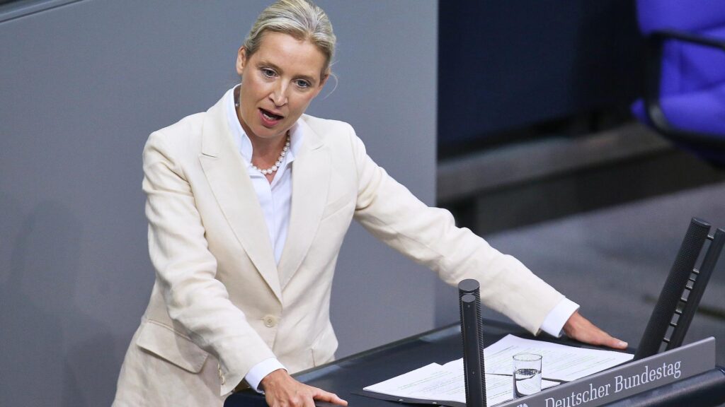 Alice Weidel am 09.07.2025