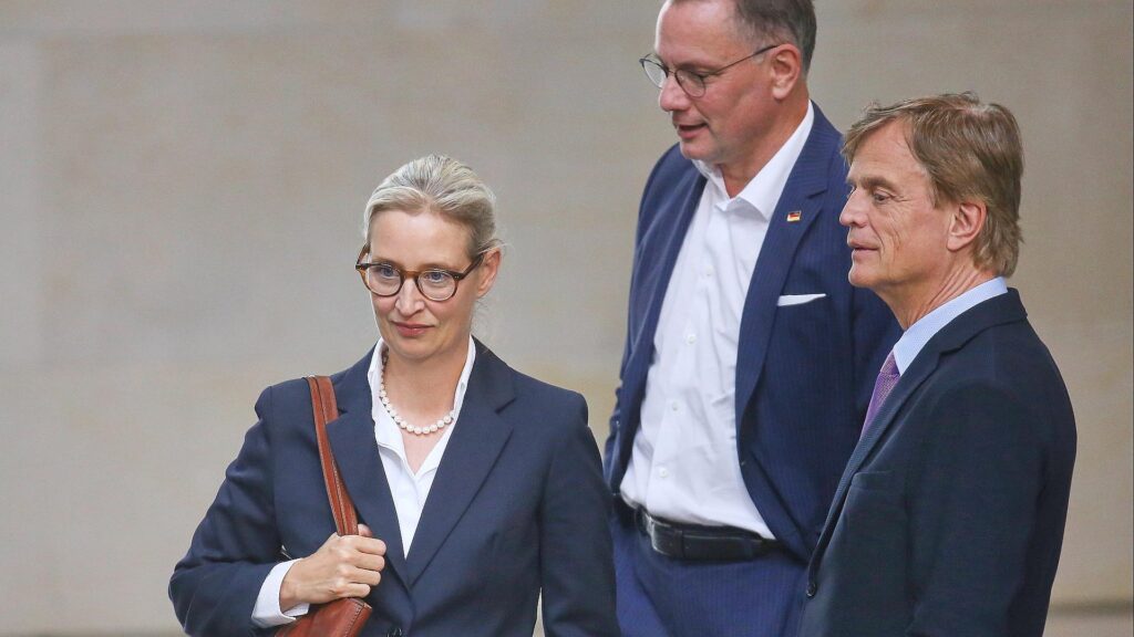 Alice Weidel