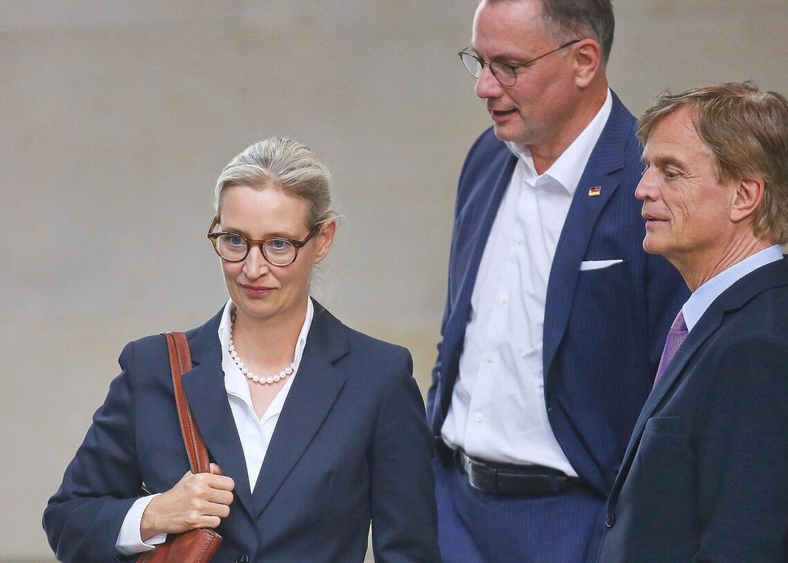 Alice Weidel
