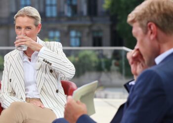 Alice Weidel und Markus Preiß am 20.07.2025